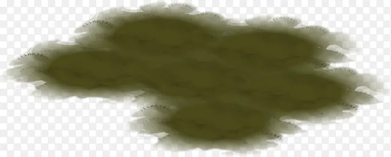 卡通青苔