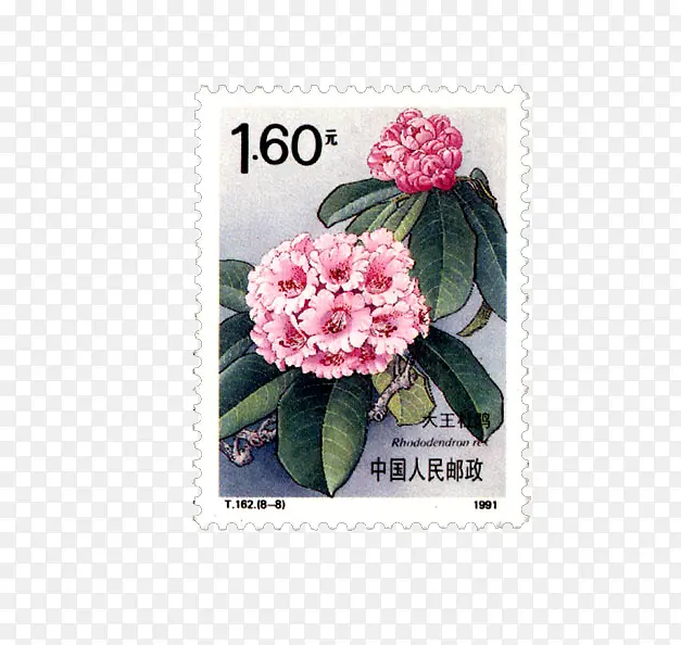 粉色花朵邮票