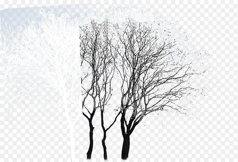 冬季分层对比大树效果图