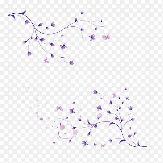 紫色花藤条
