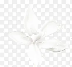 白色牛奶墨迹花朵