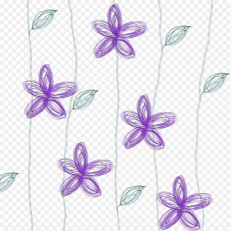 紫色吊兰