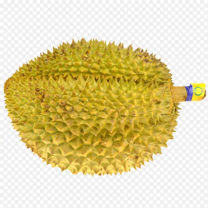 榴莲