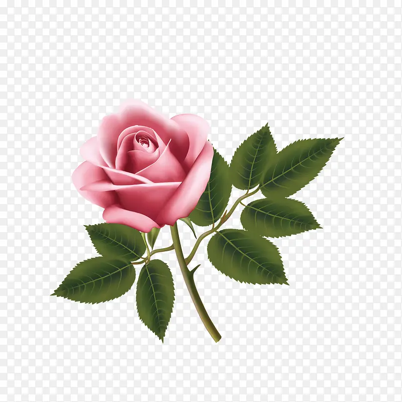 矢量手绘粉色玫瑰花