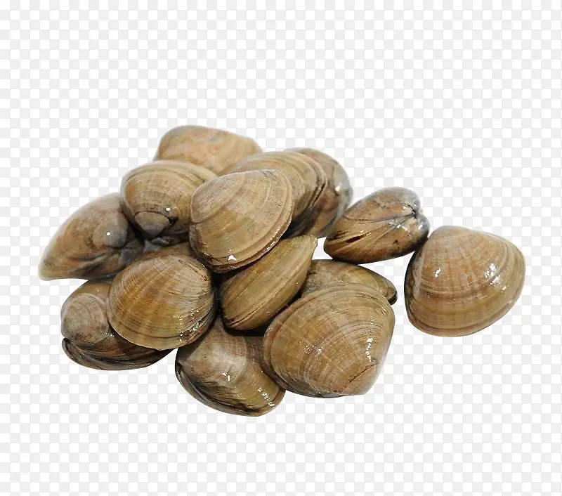 一堆蚬子PNG图片素材下载_图片编号9664979-PNG素材网