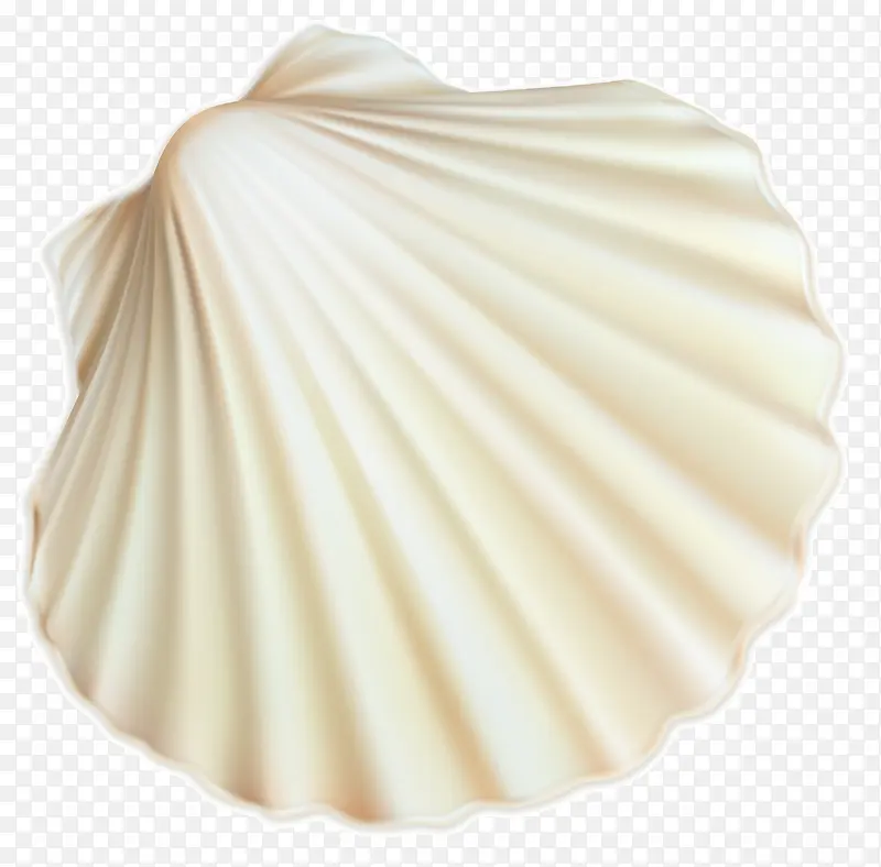 一个漂亮的白色贝壳抠图