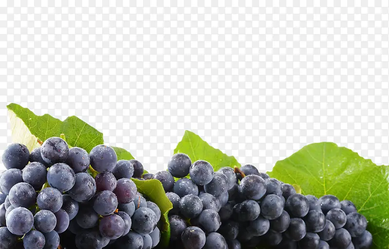 黑色新鲜水果葡萄