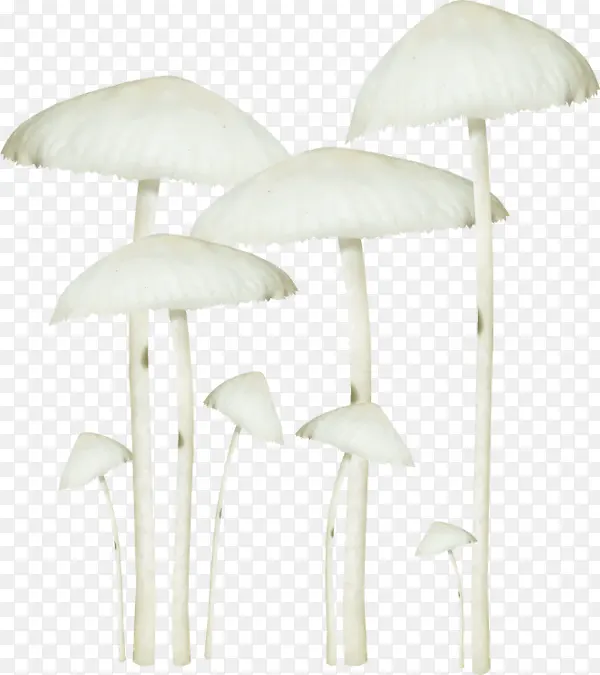 卡通白色蘑菇金针菇
