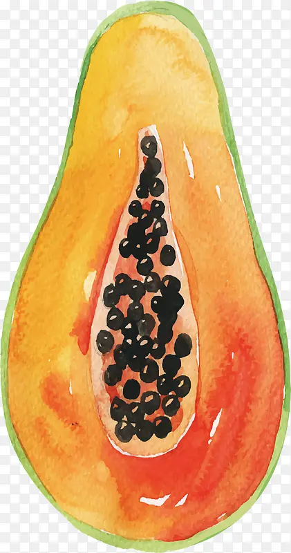水彩手绘木瓜