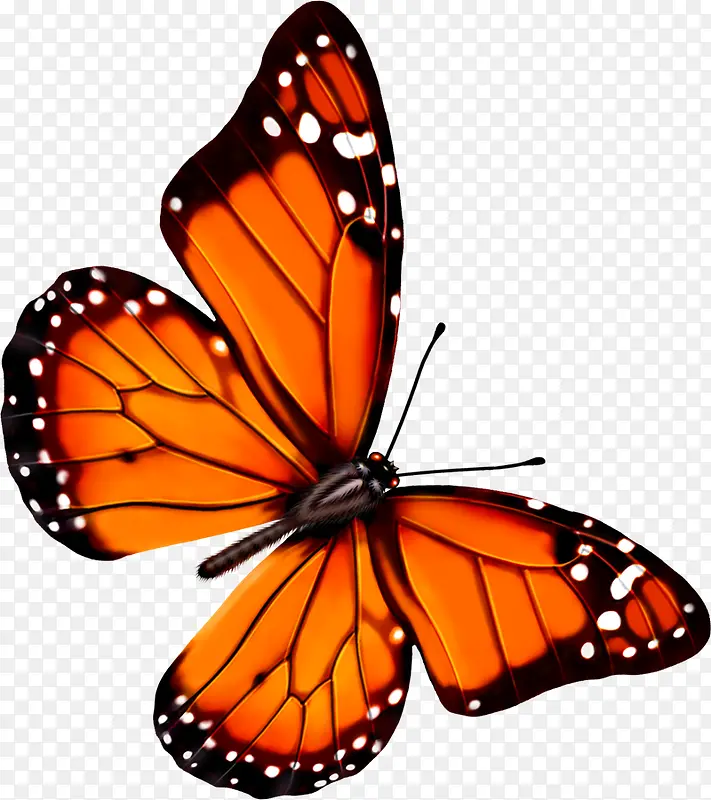 创意守护合成飞舞的橙色蝴蝶