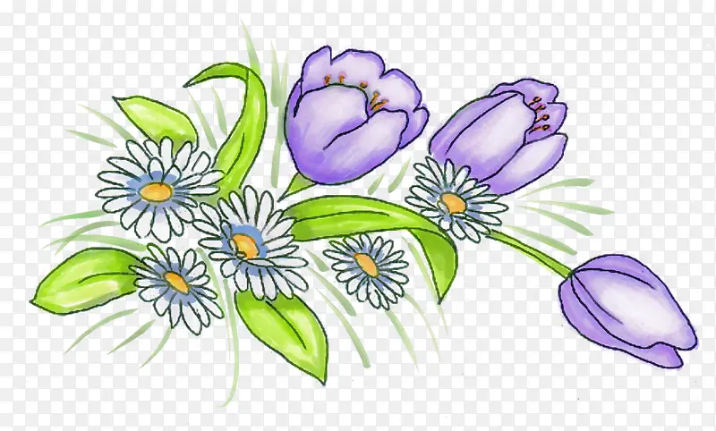 紫色郁金香和雏菊