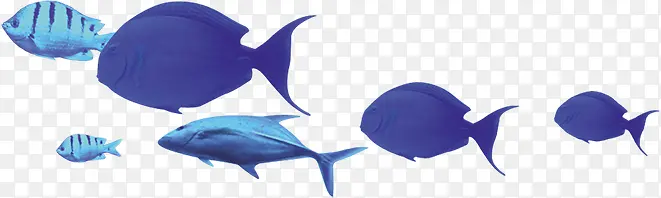 创意合成效果蓝色的小鱼模型