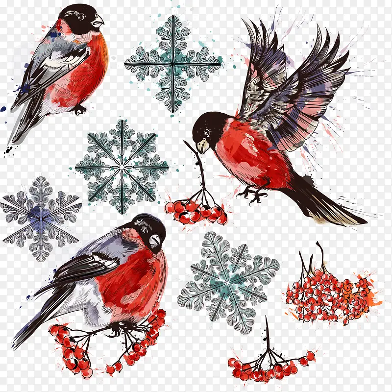 圣诞彩绘矢量小鸟与雪花