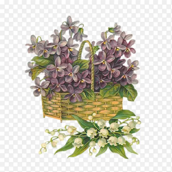 手绘紫色装饰植物花篮