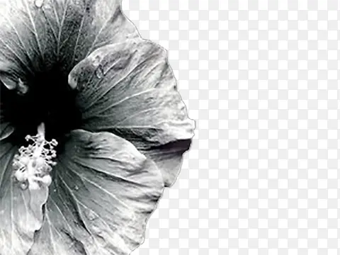 低迷的花
