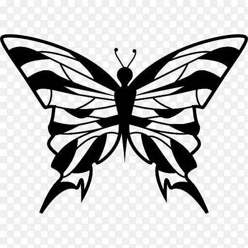 蝴蝶设计从顶视图图标