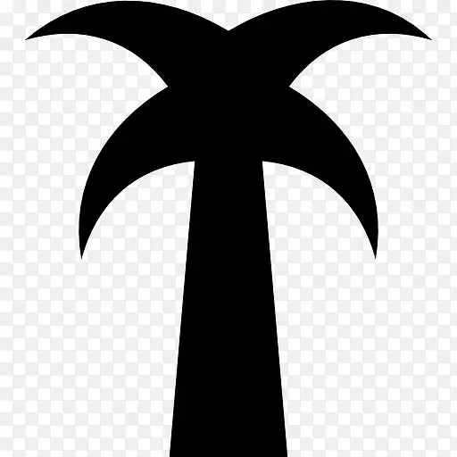 普通的棕榈树图标