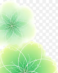 绿色缤纷花瓣晕染柔光