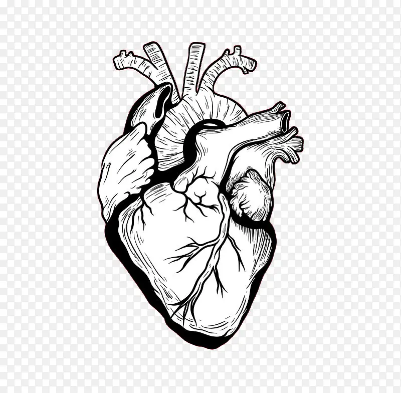 黑色手绘心脏图