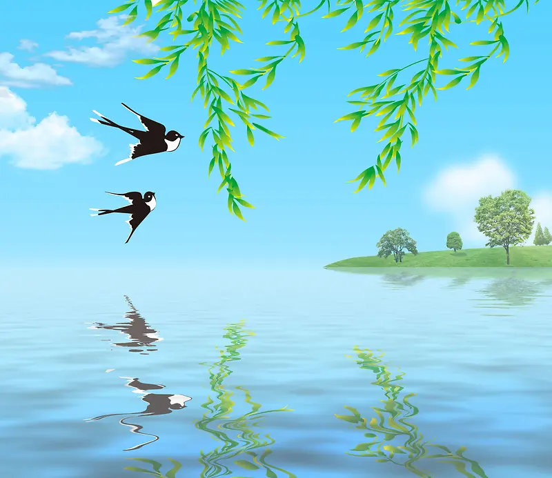 湖泊枊叶燕子背景