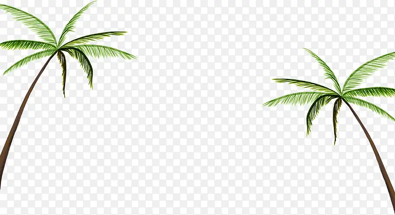 热带风情椰树