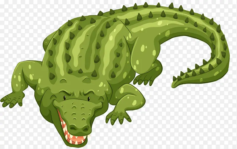 绿色的鳄鱼