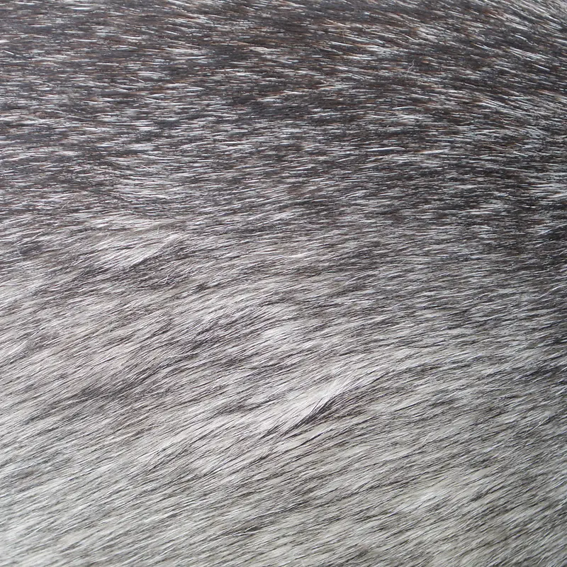灰色动物皮毛