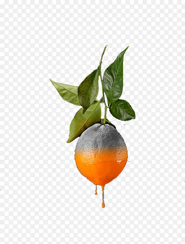 创意水果平面设计橘子