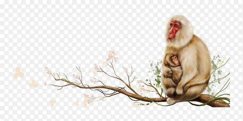 坐在树枝上的猴子母子