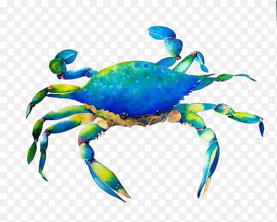 手绘蓝色螃蟹