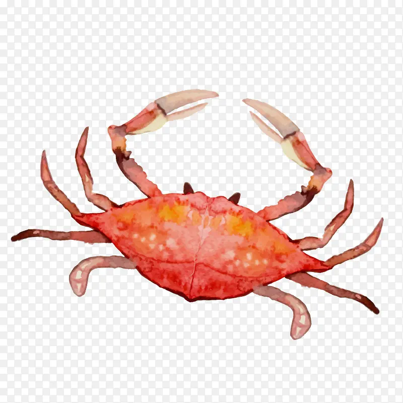 手绘水彩螃蟹