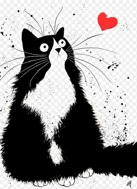 猫咪