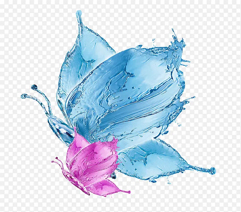 蓝色水蝴蝶图案