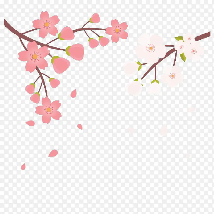 两种颜色手绘樱花