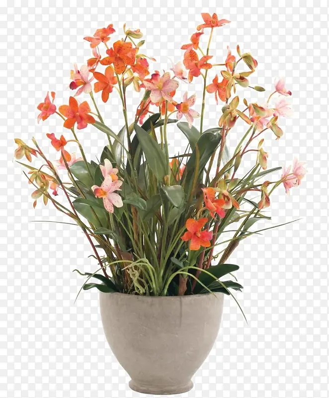 橘色花卉白色花瓶插花