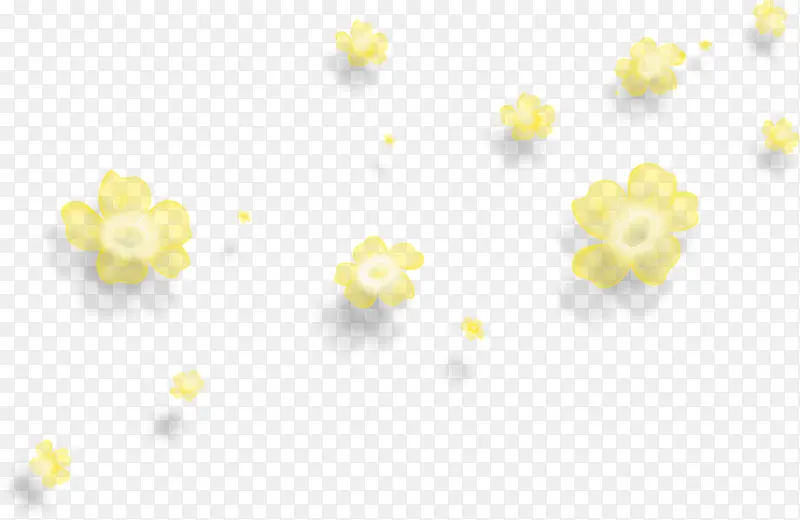黄色的花朵