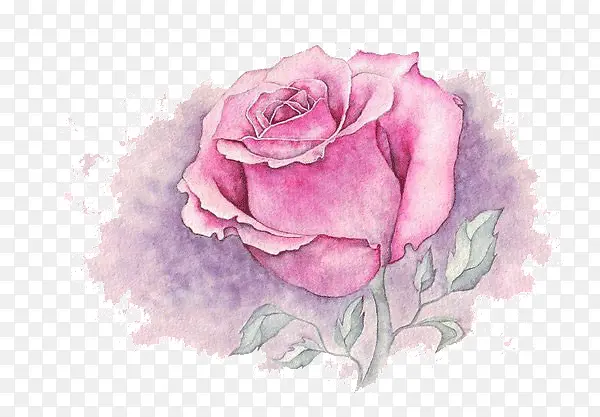 粉色水彩花卉插画艺术