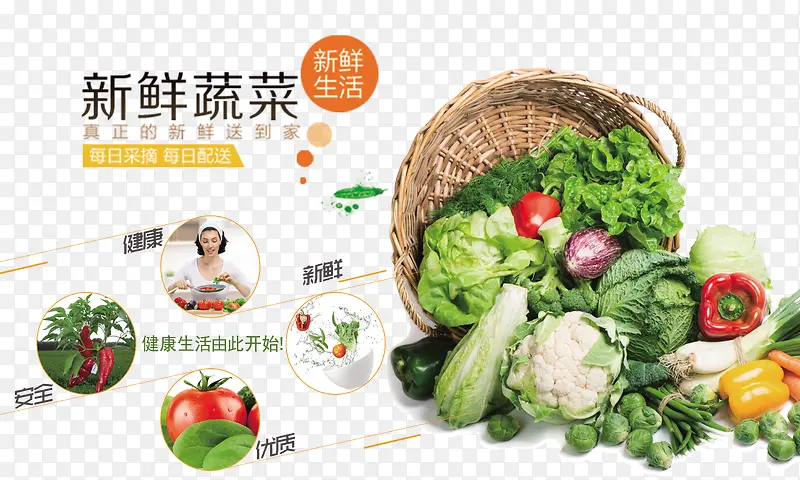 新鲜蔬菜宣传展板