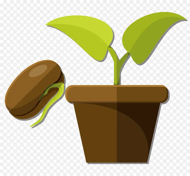 豌豆种子和盆栽矢量素材