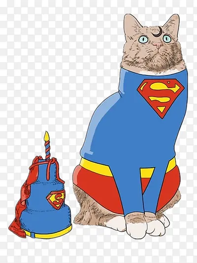 超人衣服小猫