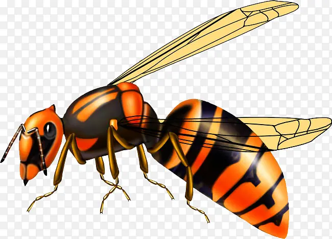 卡通手绘蜜蜂昆虫