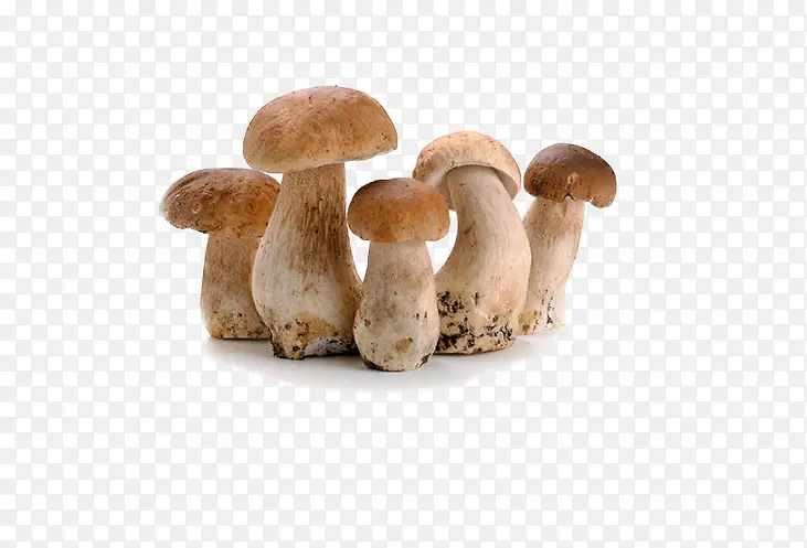美味的蘑菇