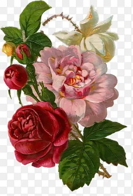 手绘花图案复古 欧式花朵