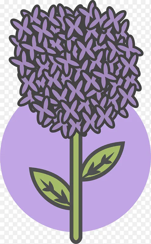 紫色卡通春季薰衣草