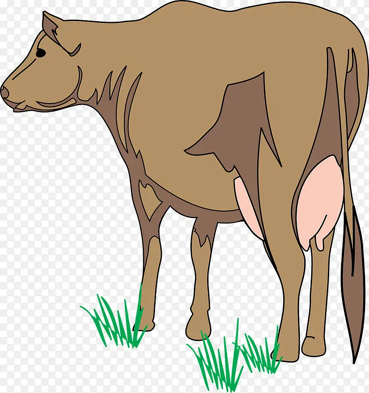 棕色的家禽牛