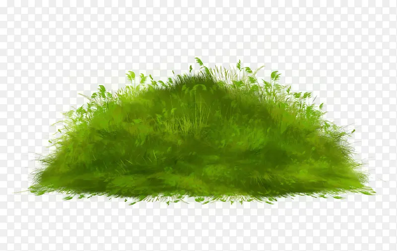 绿色草丛