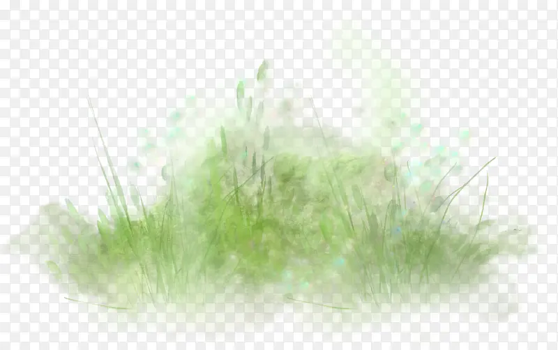 绿色手绘草丛