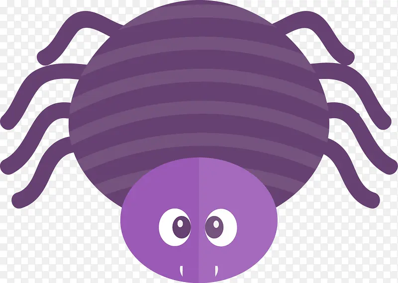紫色的蜘蛛