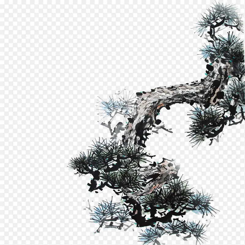 松树PNG图片素材下载_图片编号9722884-PNG素材网
