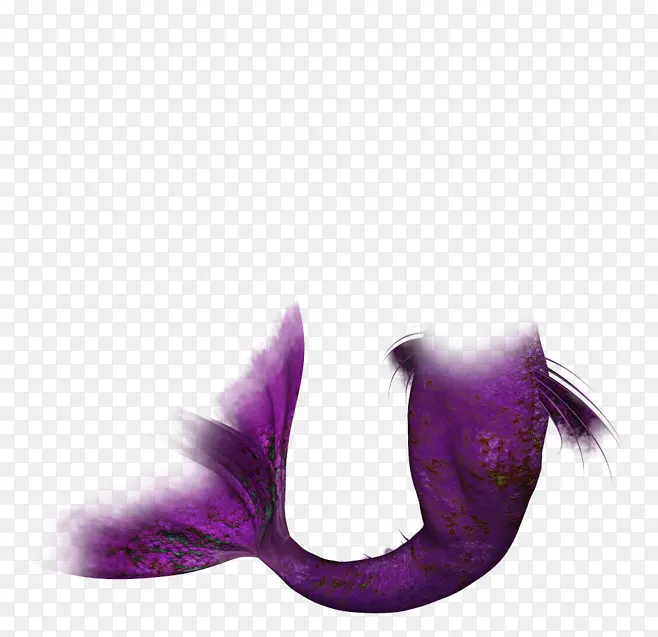 美人鱼尾巴装饰图案